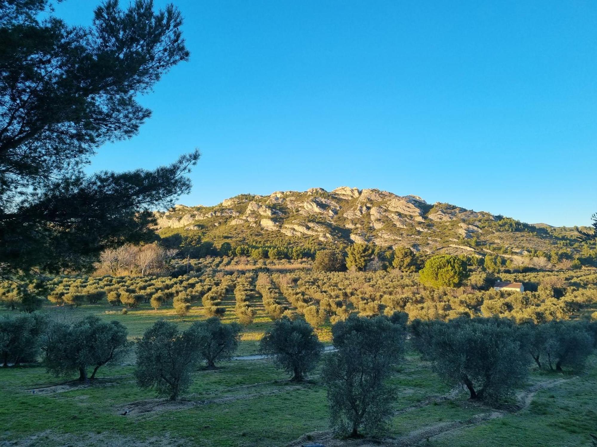 Les Garrigues De La Vallee Des Baux Параду Екстериор снимка